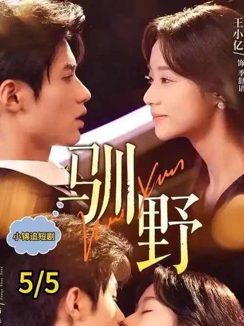 合租守则 轻喜剧短剧